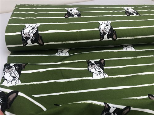 Bomuldsjersey - pistacie med bulldogs